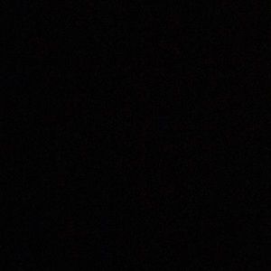 Meet your Posher, Bernice